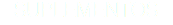 SUPLEMENTOS